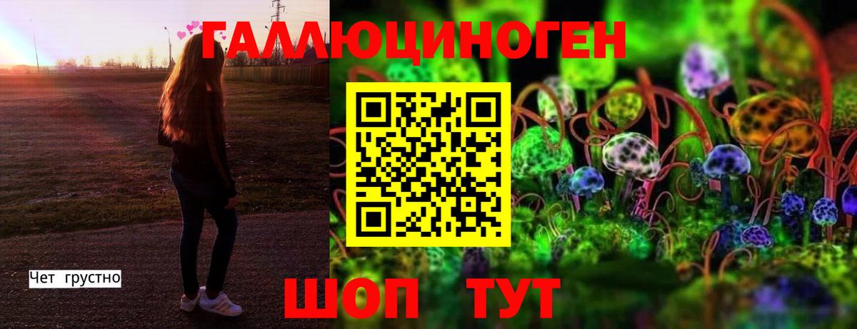 Славгород  Галлюциногенные грибы мухоморы  Галлюциногенные грибы Psilocybine cubensis  Вход с VPN 